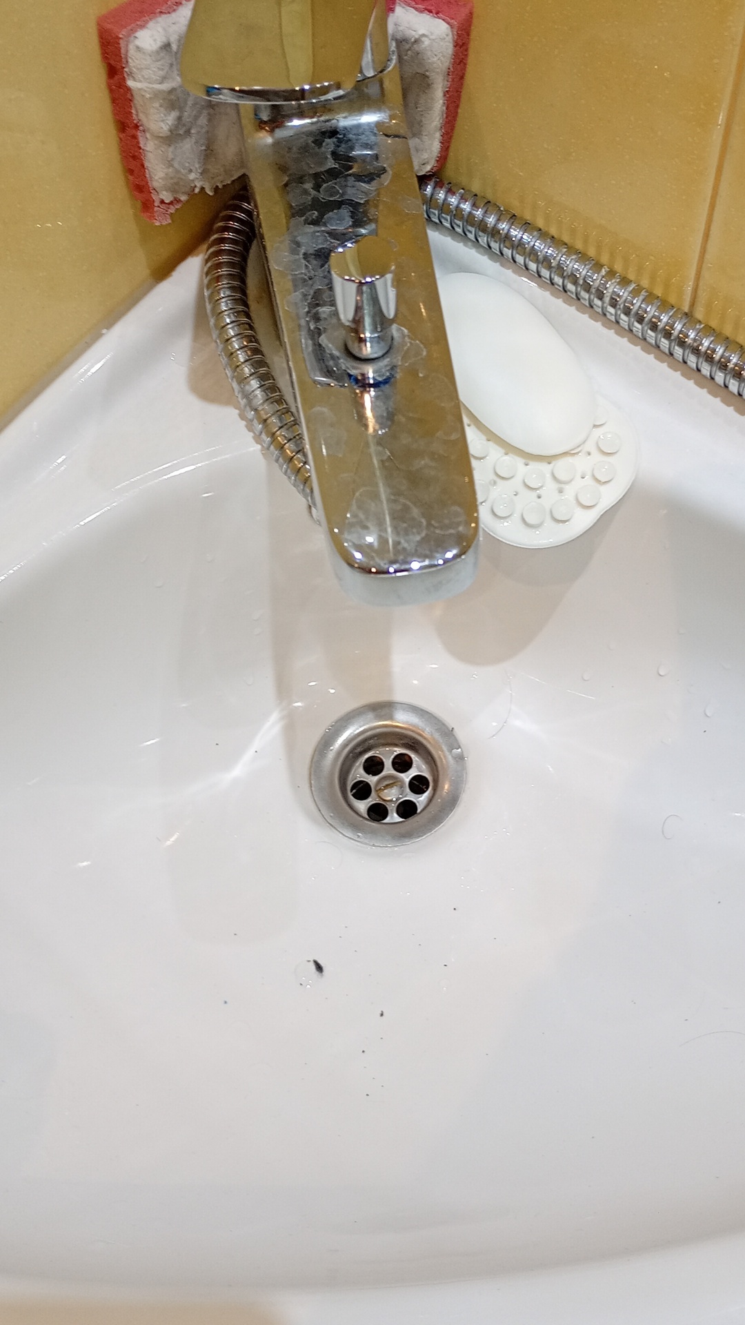 Before photo for Основно почистване