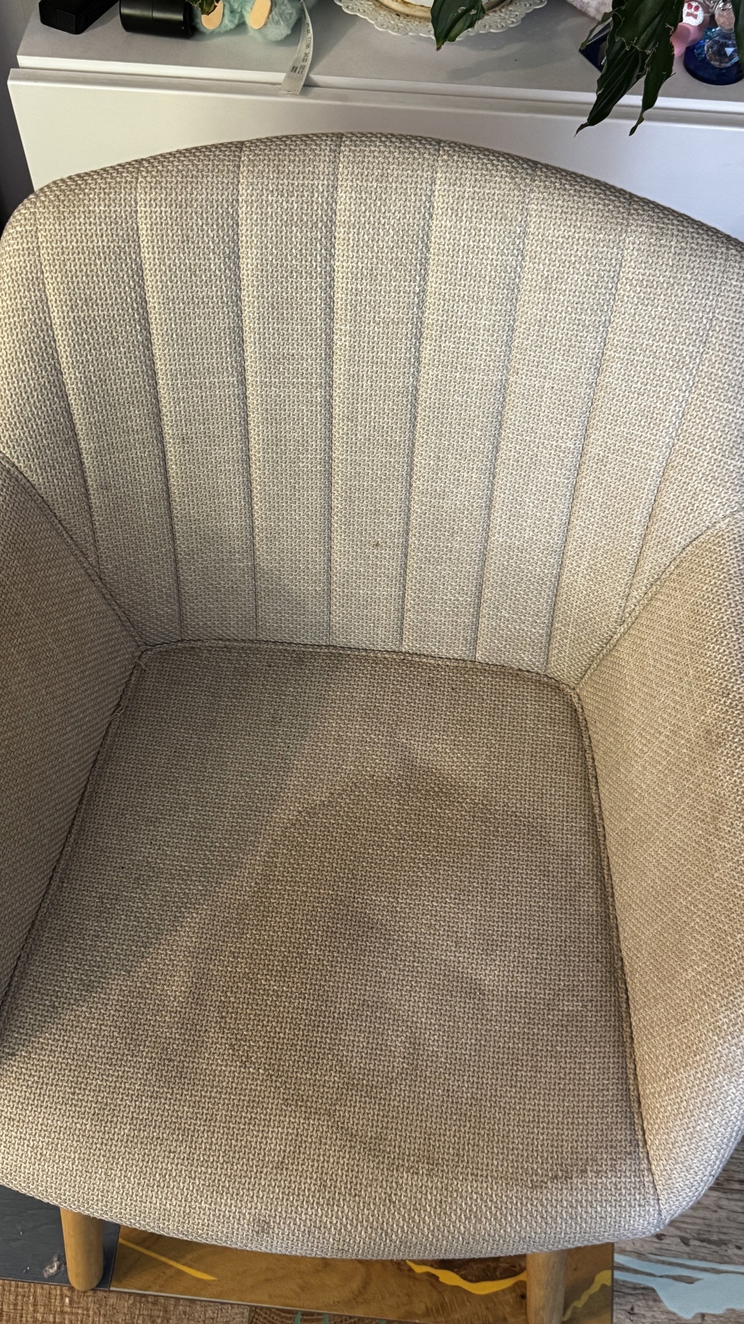 Before photo for Upholstery Cleaning