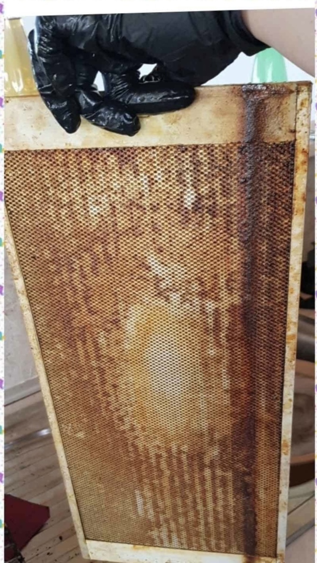 Before photo for Основно почистване