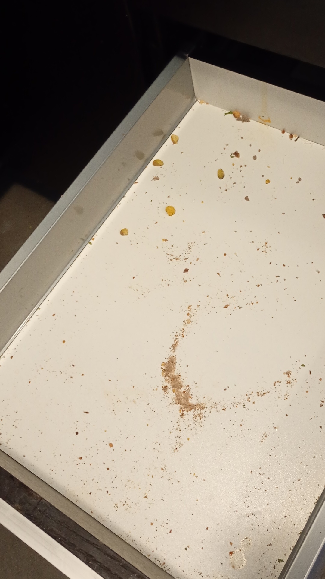 Before photo for Основно почистване