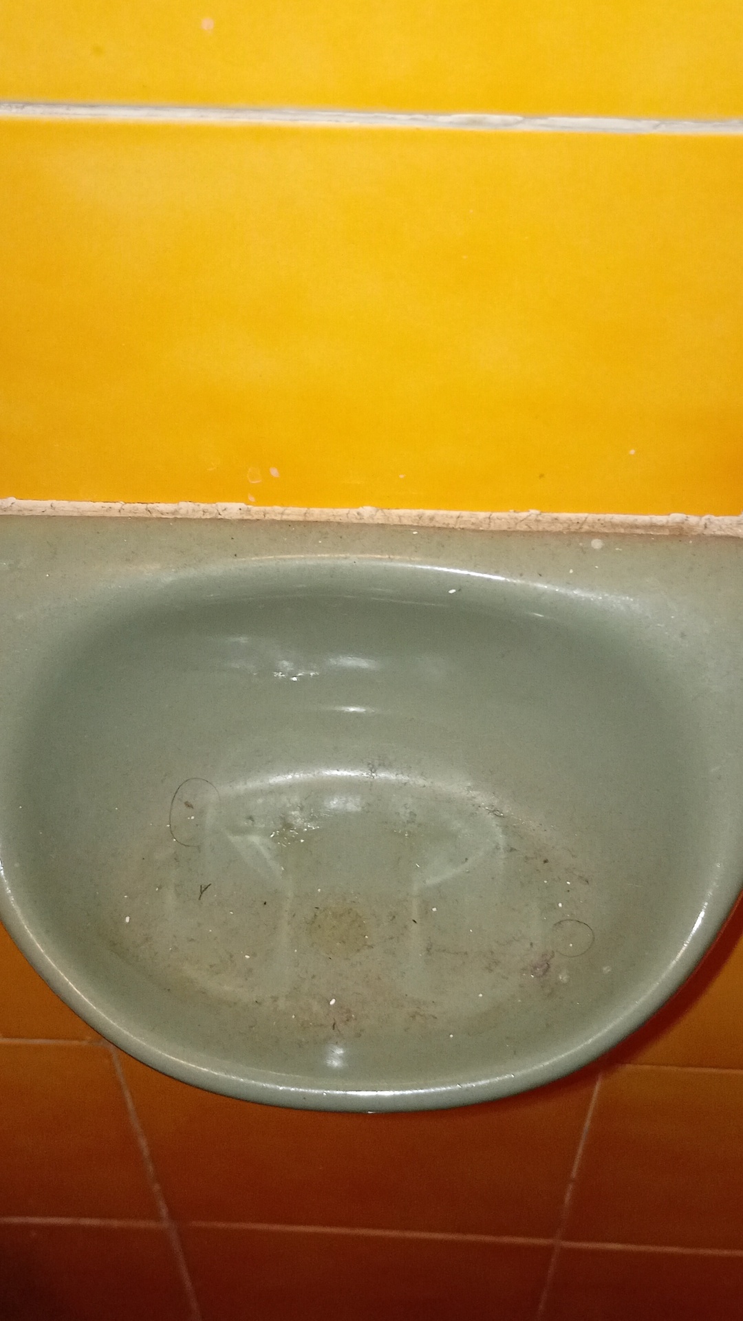 Before photo for Основно почистване